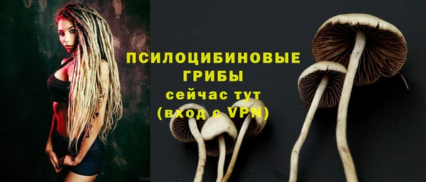гашик Медвежьегорск