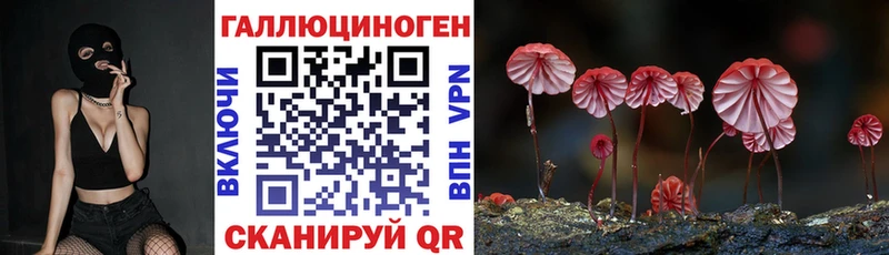 Псилоцибиновые грибы мицелий  Холмск 