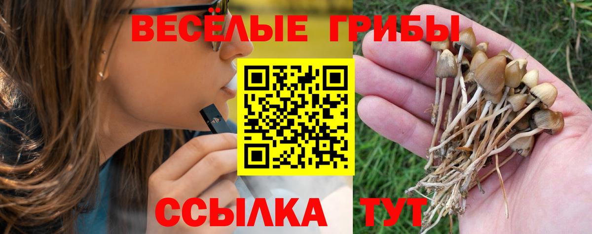 Псилоцибиновые грибы мицелий Холмск